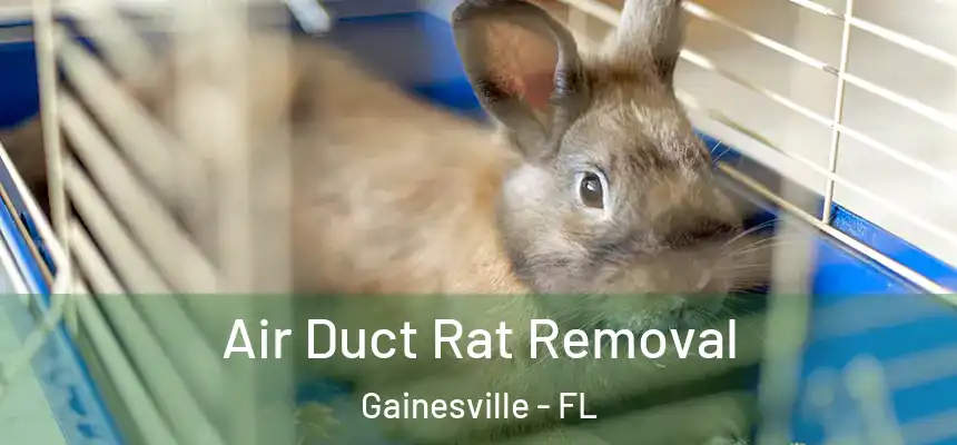 Air Duct Rat Removal Gainesville - FL