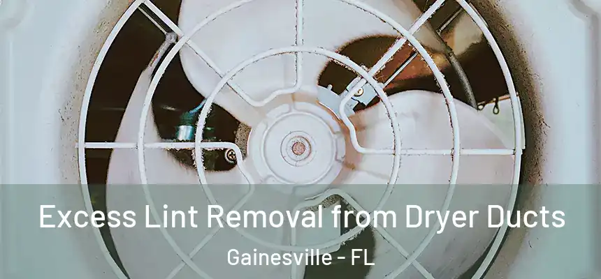  Excess Lint Removal from Dryer Ducts Gainesville - FL