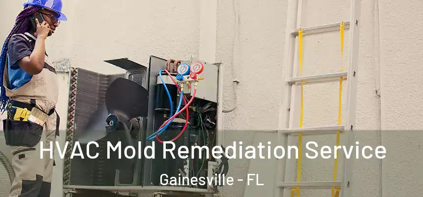 HVAC Mold Remediation Service Gainesville - FL