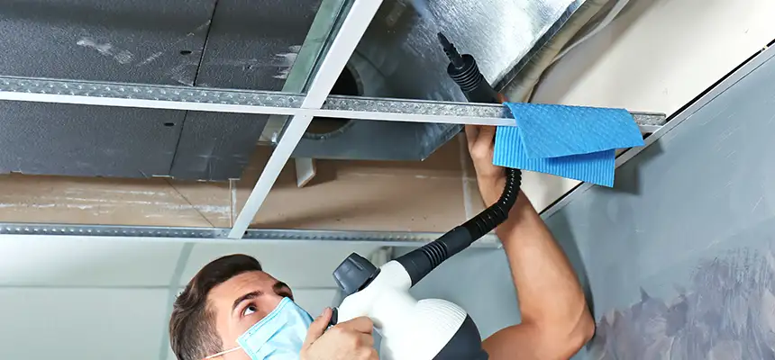 Our Air Duct Rodent Removal Services in Gainesville, FL