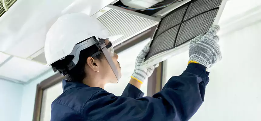 Our Mold & Mildew Removal from Air Ducts Services in Gainesville, FL