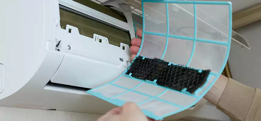 Gentle Ductwork Odor-Control Pet Dander Duct Cleaning in Gainesville, FL