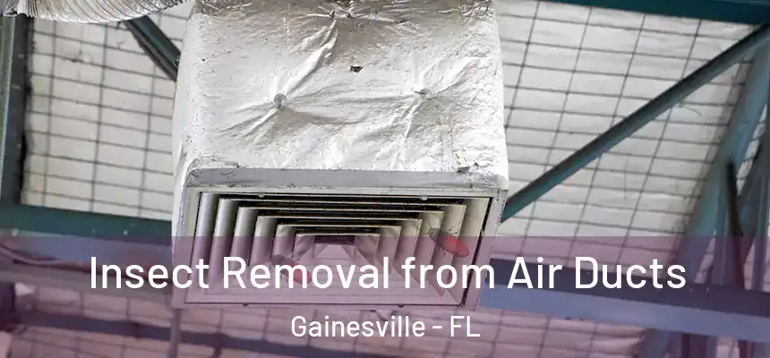 Insect Removal from Air Ducts Gainesville - FL