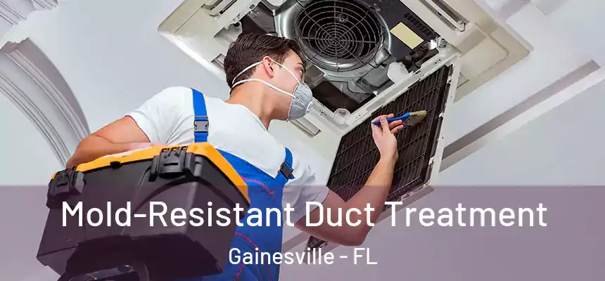 Mold-Resistant Duct Treatment Gainesville - FL