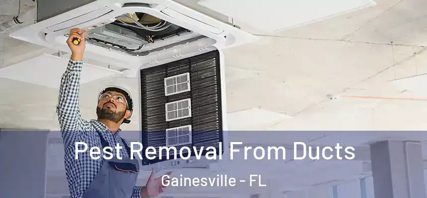 Pest Removal From Ducts Gainesville - FL