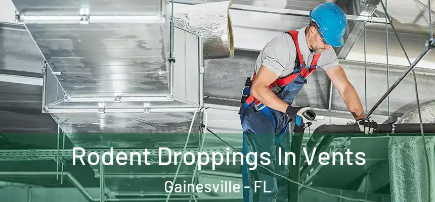  Rodent Droppings In Vents Gainesville - FL