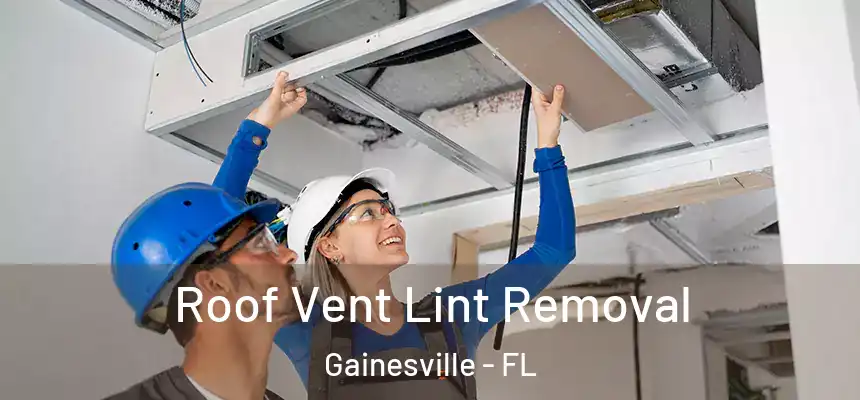 Roof Vent Lint Removal Gainesville - FL