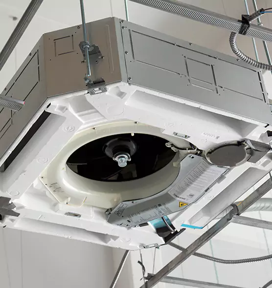 Professional Roof Vent Lint Removal Gainesville, FL