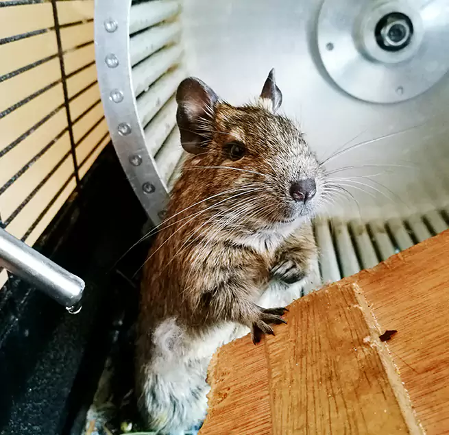 Why Homeowners & Businesses Trust Us Gainesville, FL