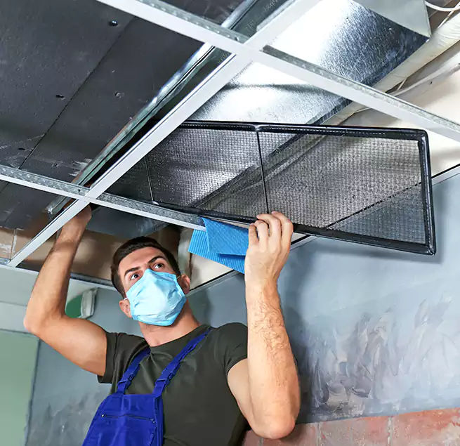 Why Homeowners Businesses Trust Us in Gainesville, FL