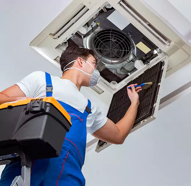 Why Homeowners & Businesses Trust Us in Gainesville, FL?